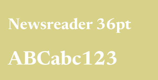 Newsreader 36pt
