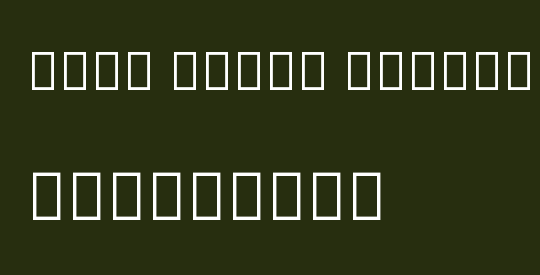 Noto Serif Tibetan ExtraLight