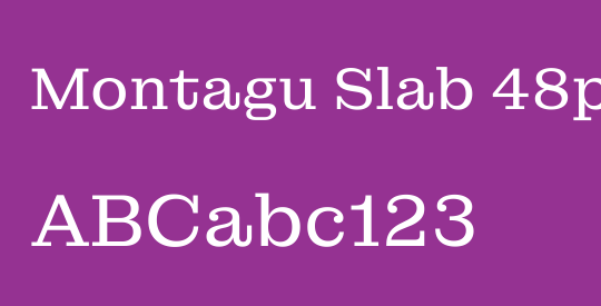 Montagu Slab 48pt