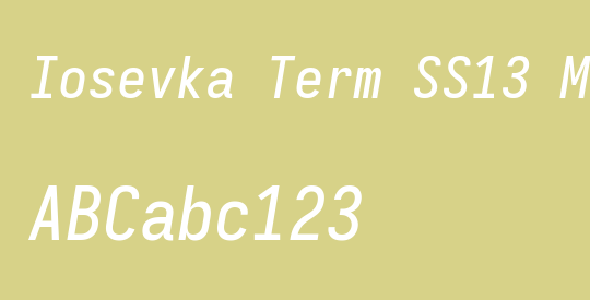 Iosevka Term SS13 Medium