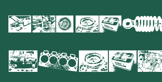 How Can I Organize My Garage?