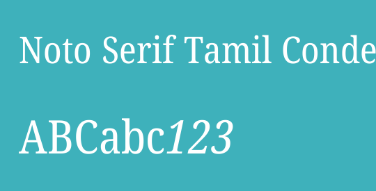 Noto Serif Tamil Condensed
