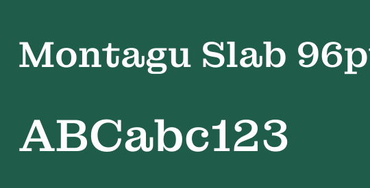 Montagu Slab 96pt Medium