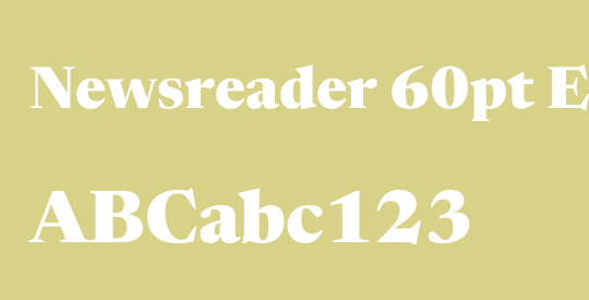 Newsreader 60pt ExtraBold