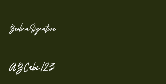 BerlinaSignature