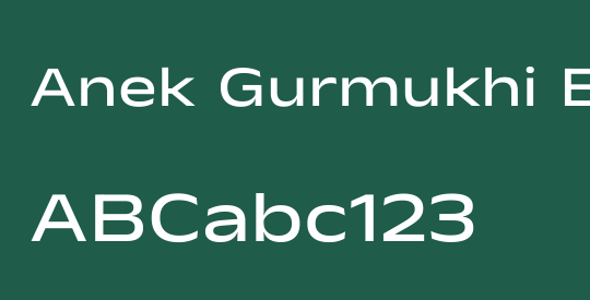 Anek Gurmukhi Expanded Medium