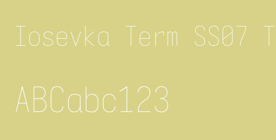 Iosevka Term SS07 Thin