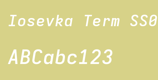 Iosevka Term SS03 SmBdEx