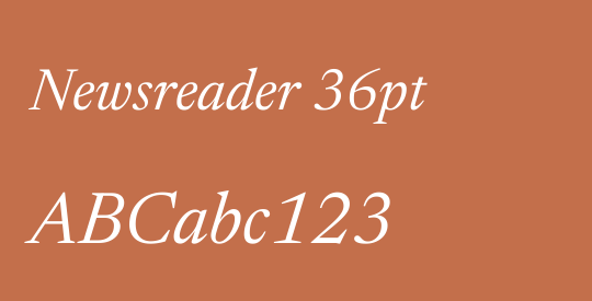Newsreader 36pt