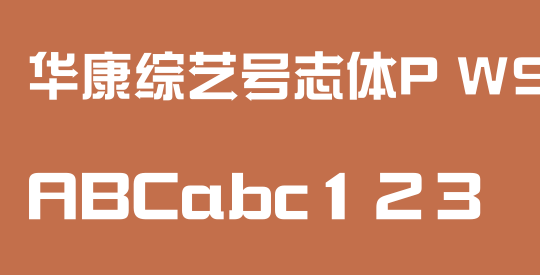 华康综艺号志体P W9