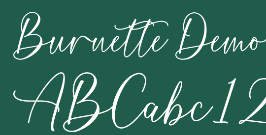Burnette Demo