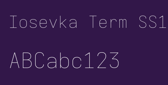 Iosevka Term SS11 ThEx