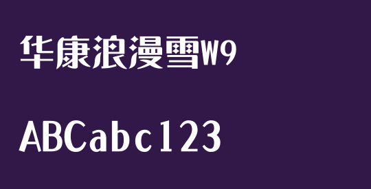 华康浪漫雪W9