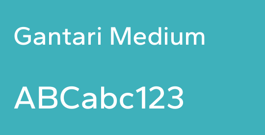Gantari Medium