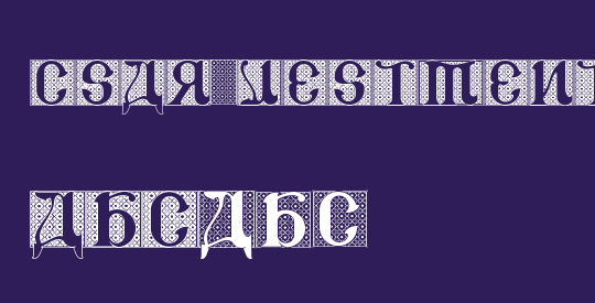 CSAR VESTMENT