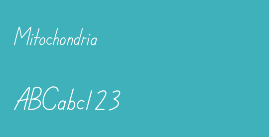 Mitochondria