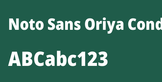 Noto Sans Oriya Condensed Black