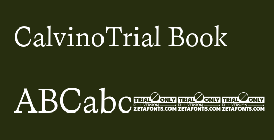 CalvinoTrial Book