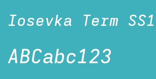 Iosevka Term SS15 MdExObl