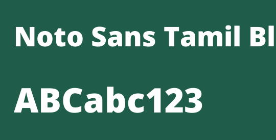 Noto Sans Tamil Black