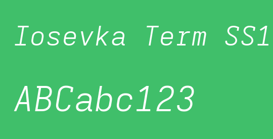 Iosevka Term SS17 LtExObl