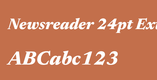 Newsreader 24pt ExtraBold