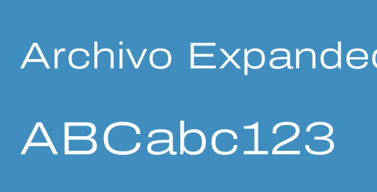 Archivo Expanded Light