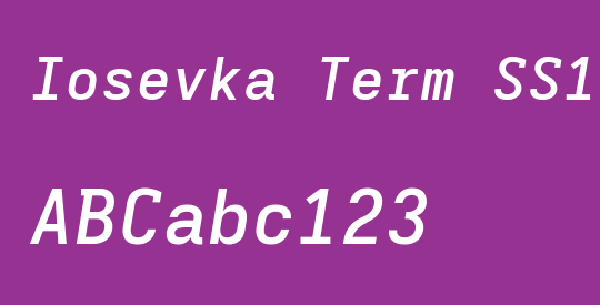 Iosevka Term SS17 SmBdExObl