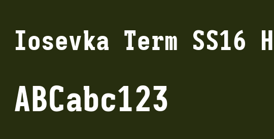 Iosevka Term SS16 Heavy
