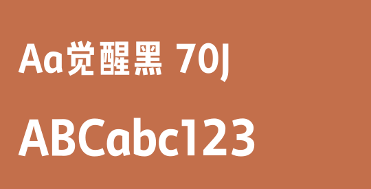 Aa觉醒黑 70J