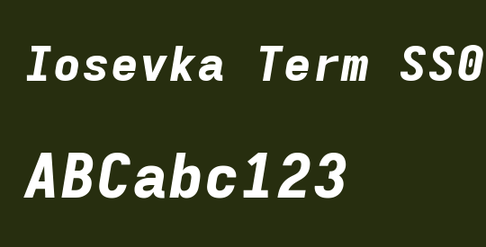 Iosevka Term SS06 HvExObl
