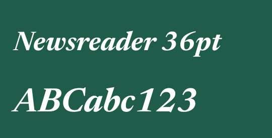 Newsreader 36pt