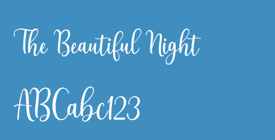The Beautiful Night