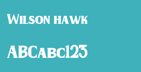Wilson hawk