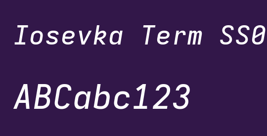 Iosevka Term SS03 MdEx