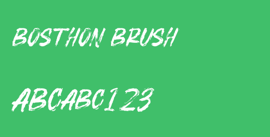 BOSTHON BRUSH