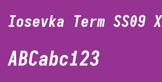 Iosevka Term SS09 XBdObl