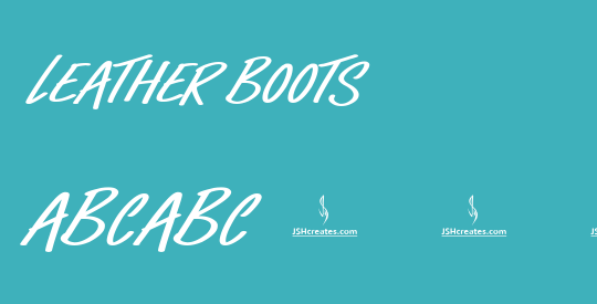 Leather Boots