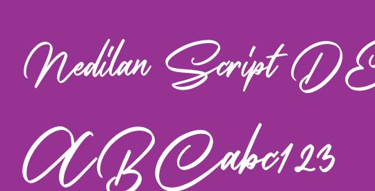 Nedilan Script DEMO