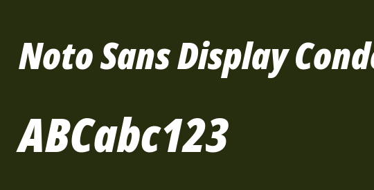 Noto Sans Display Condensed Black