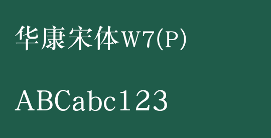 华康宋体W7(P)
