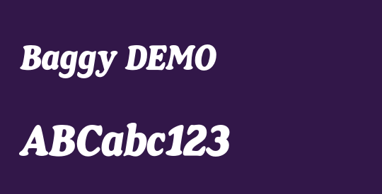 Baggy DEMO