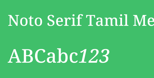 Noto Serif Tamil Medium