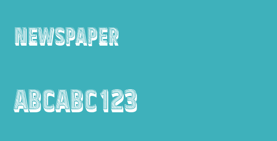 Newspaper