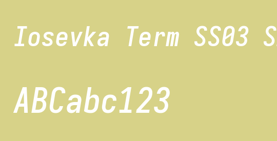Iosevka Term SS03 SmBdObl