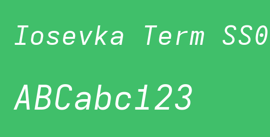 Iosevka Term SS09 ExObl