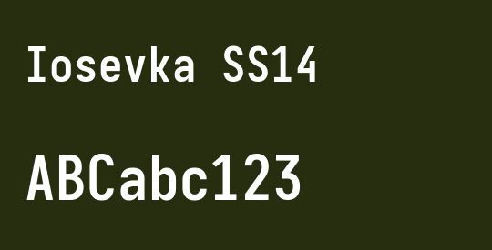 Iosevka SS14