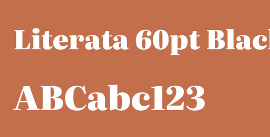 Literata 60pt Black