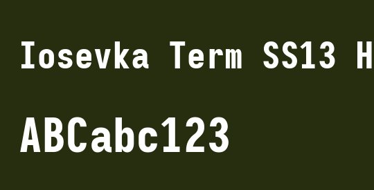 Iosevka Term SS13 Heavy