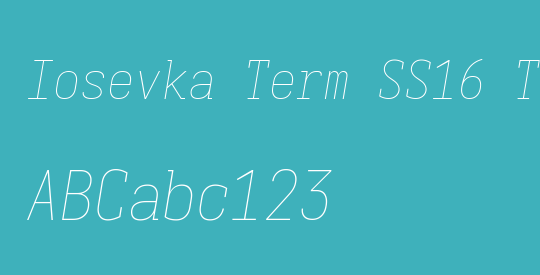 Iosevka Term SS16 Thin Oblique